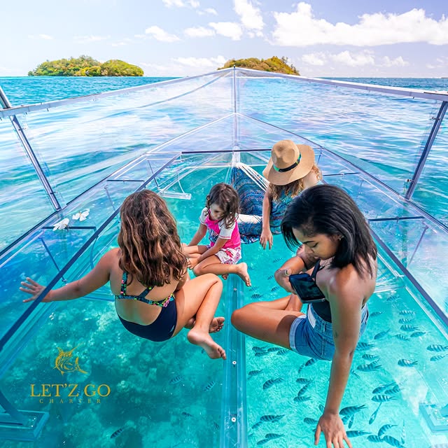 Clear Boat Experience